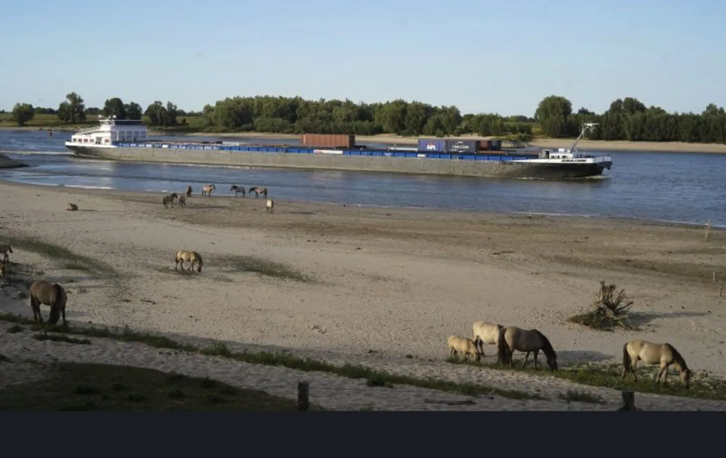 Hoe vaak blijven we nog schrikken?