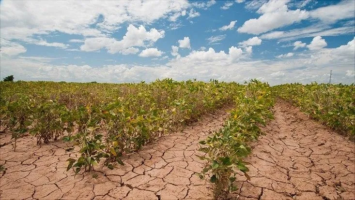 'Waar eindigt dit?' Terugblik op extreme zomer in eigen land