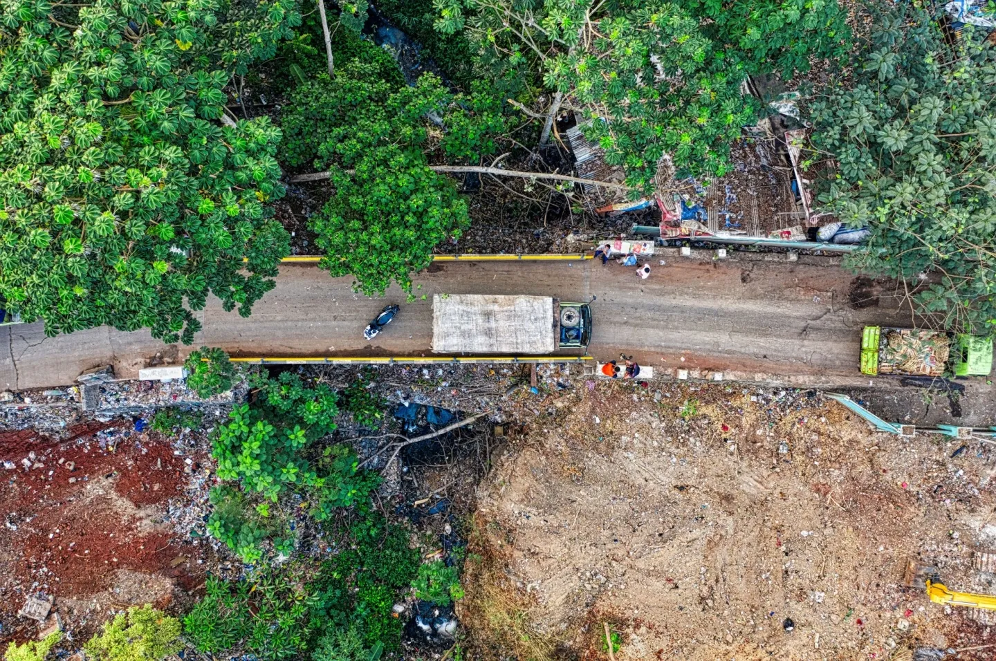 Indonesië stopt werelds grootste ontbossingsproject in Papua