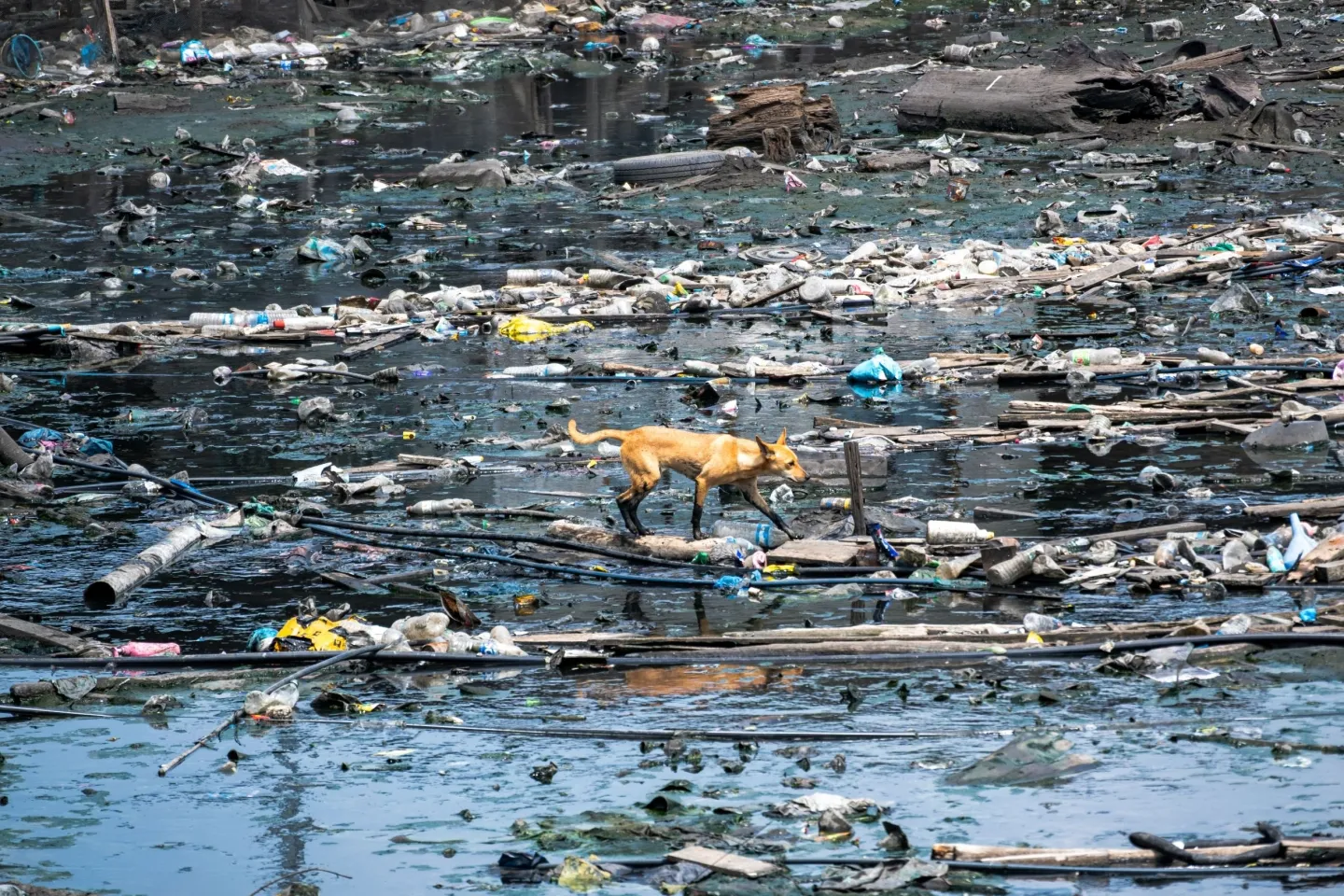 Wetenschappers waarschuwen: planetaire grenzen massaal overschreden