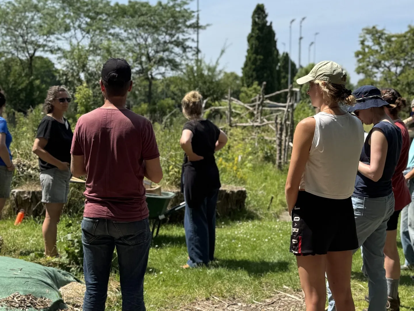 Werk aan echte duurzaamheid: Behaal je Permaculture Design Certificate in Eindhoven