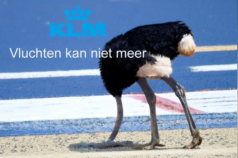 Opinie: KLM een zwaan die een struisvogel werd