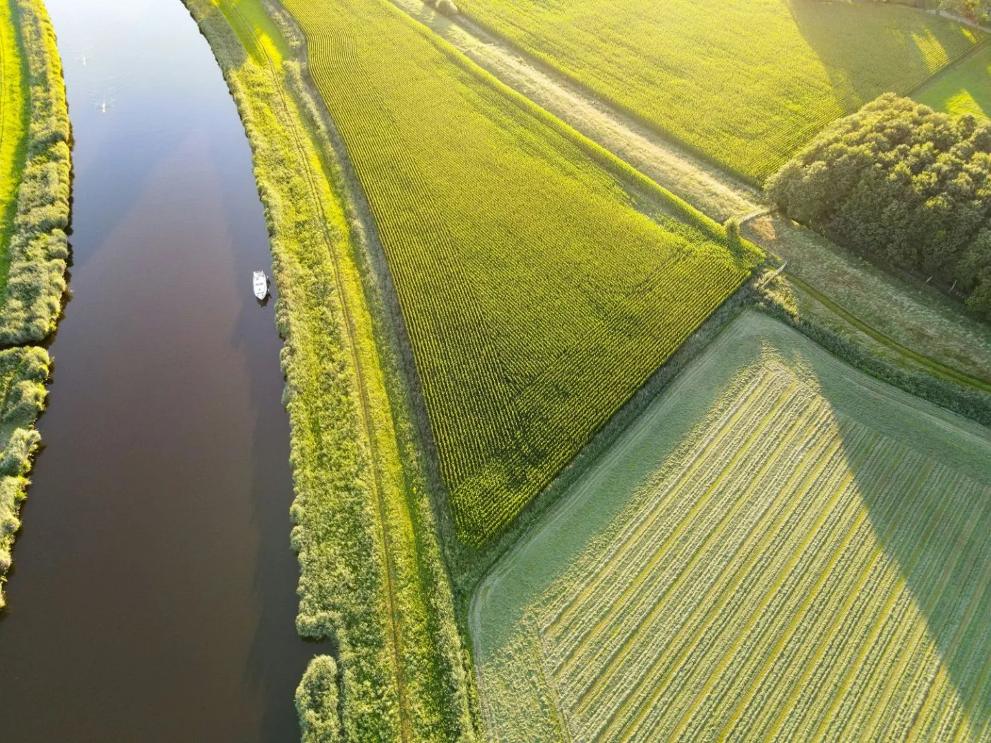 Opinie: Nieuwe stikstofplannen bedreigen natuur buiten beschermde gebieden
