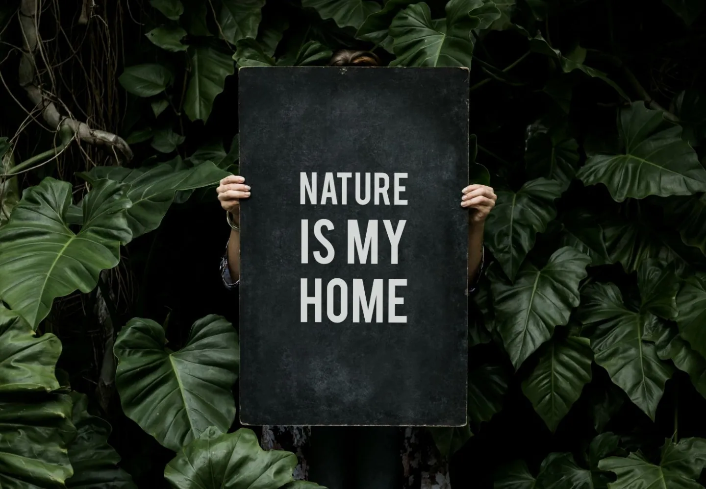 Verlies van natuurervaring versnelt ecologische achteruitgang