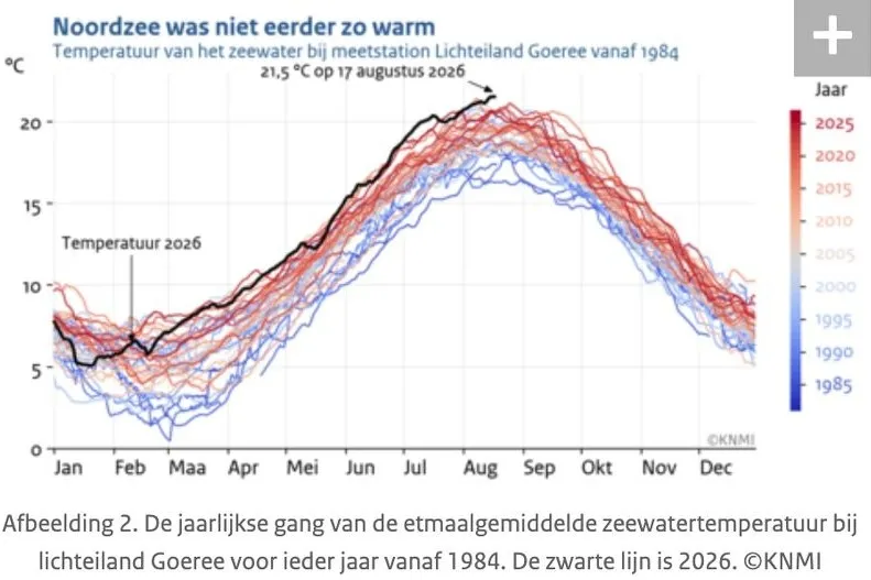 Noordzee was nog nooit zo warm: zeer zorgwekkend