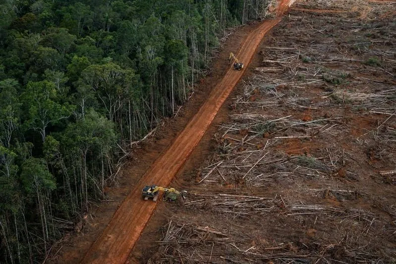 'Vleesmonster' JBS wil uitbreiden naar Indonesië - ramp voor ecosysteem