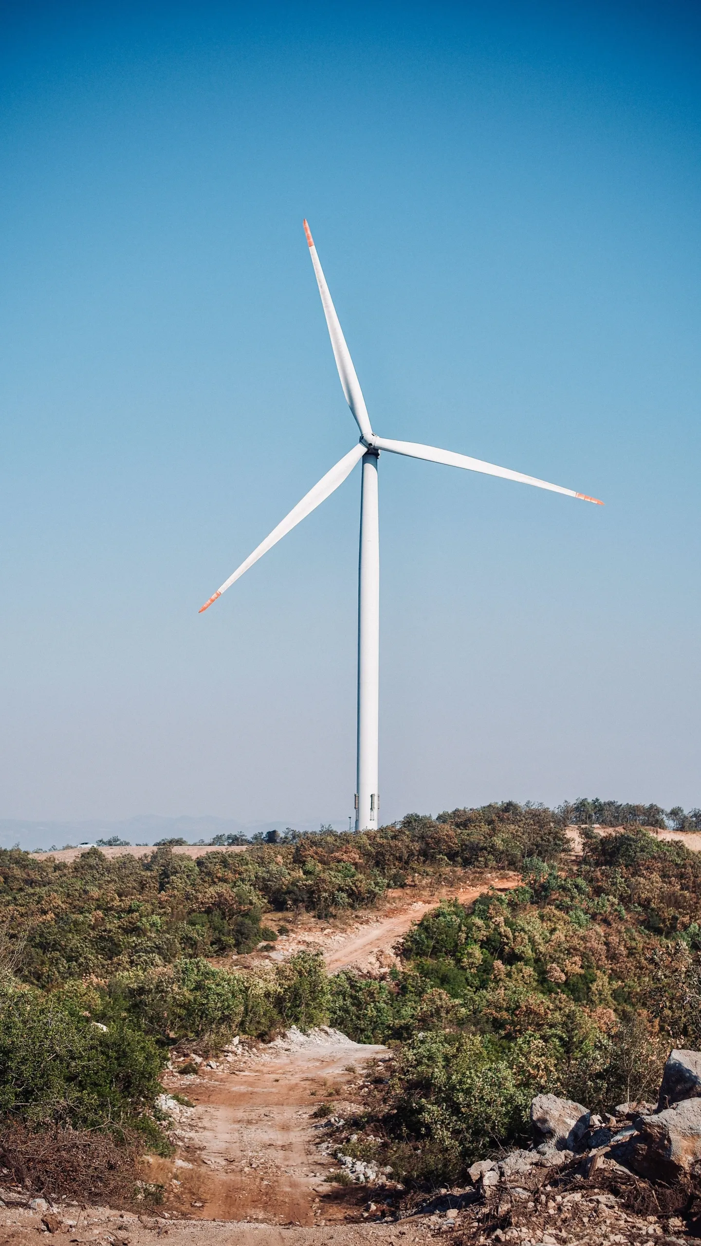 Tunesië’s energietransitie: cadeautje voor multinationals maar weinig nut voor bevolking