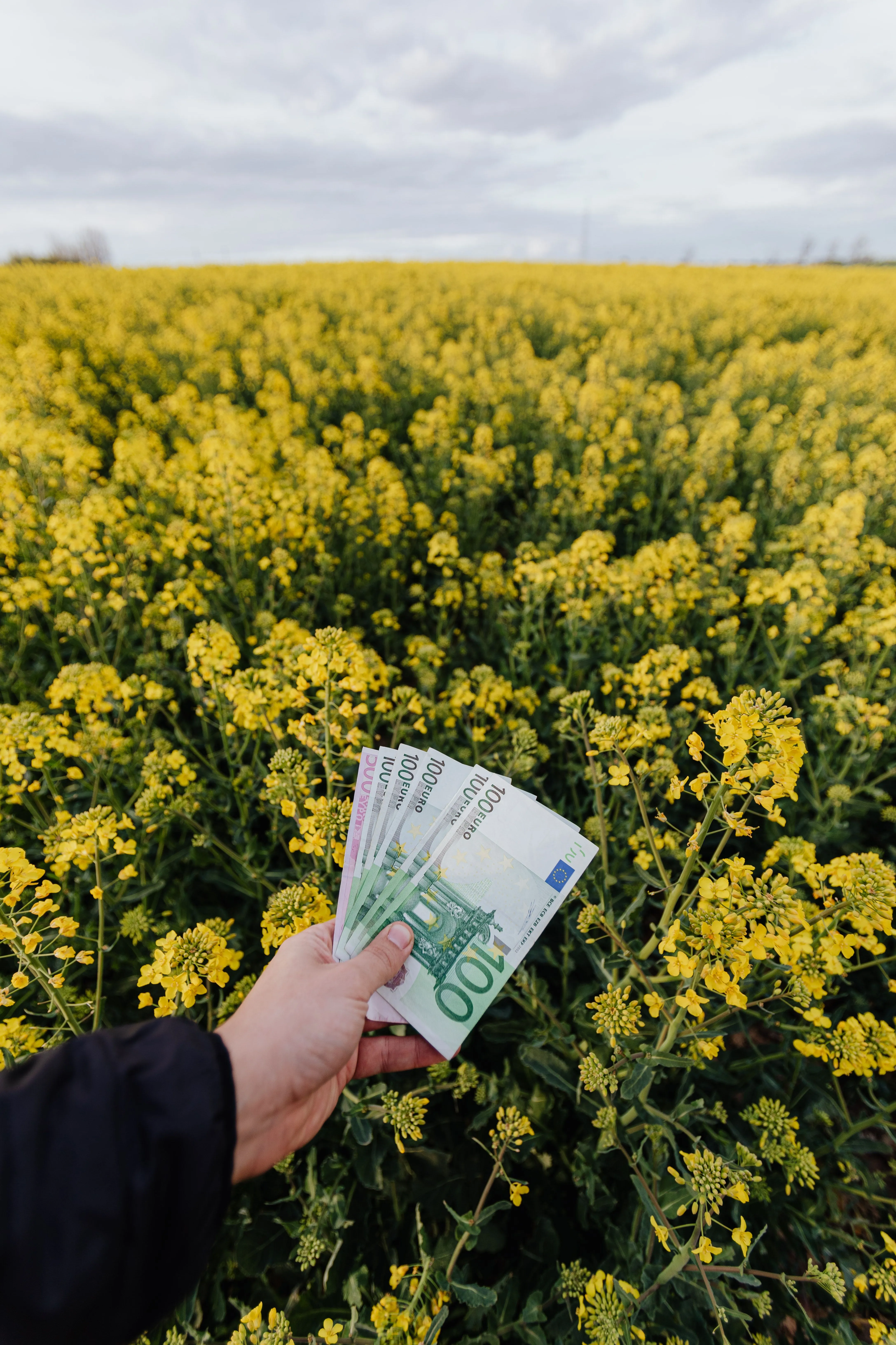 De stijgende kosten van klimaatverandering