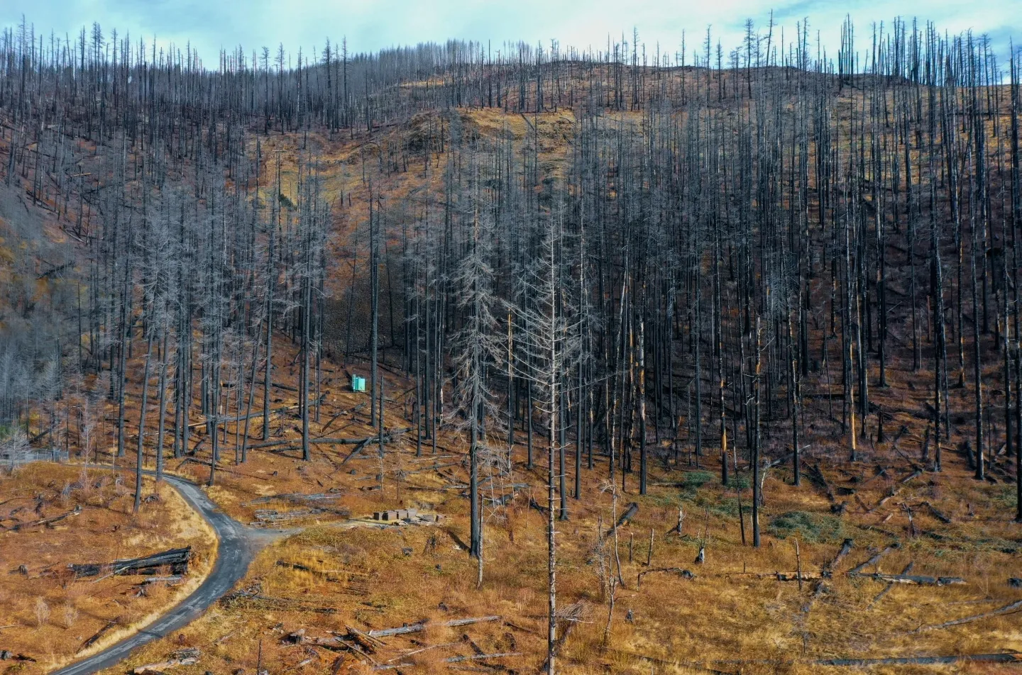 Waarschuwing voor de EU: milieuschade bedreigt onze toekomst